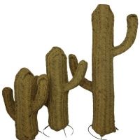 Ensemble Cactus