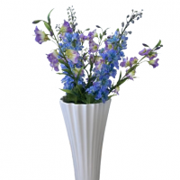 Pack Floral Delphine