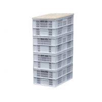 Mange debout color box 